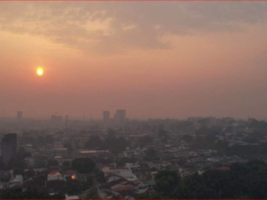 Leia mais sobre o artigo Como Manter a Saúde Durante a Seca e Período de Queimadas